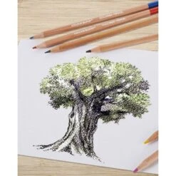 24ct Colored Pencils Gift Pack - Colour Block 7 24ct Colored Pencils Gift Pack - Colour Block -Pencil Specialty Store GUEST adab549b 842e 4642 9913 4d6868e8194f